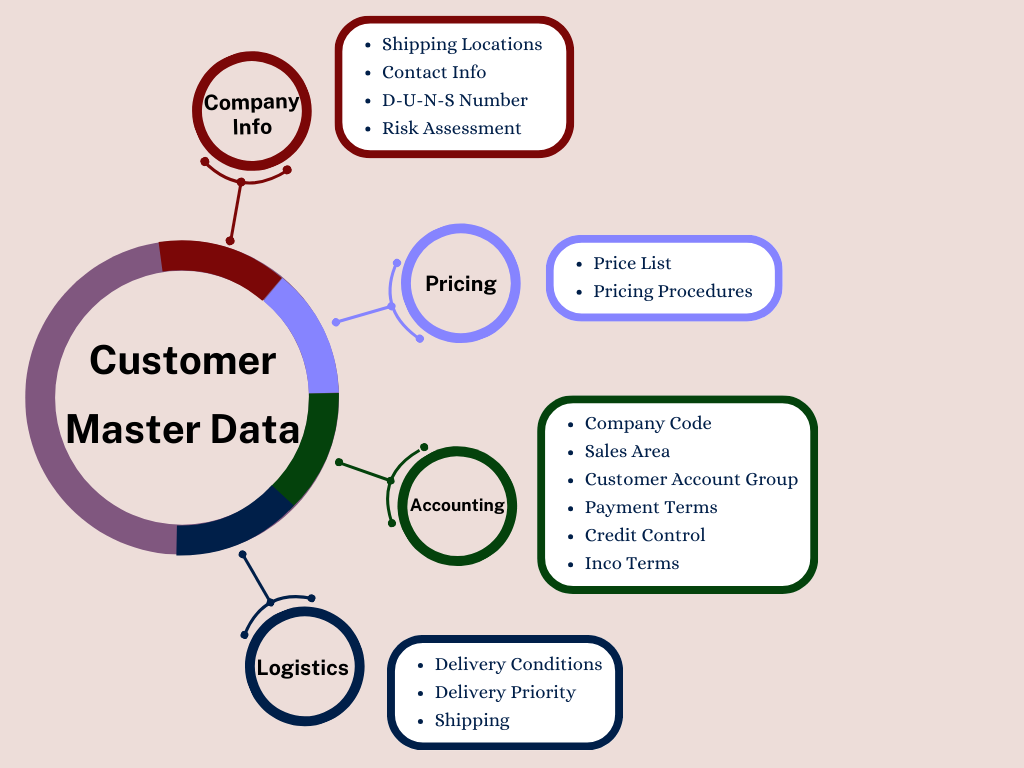 This visual diagram of Customer Master Data showing key components—Company Info, Pricing, Accounting, and Logistics—along with their specific data fields.