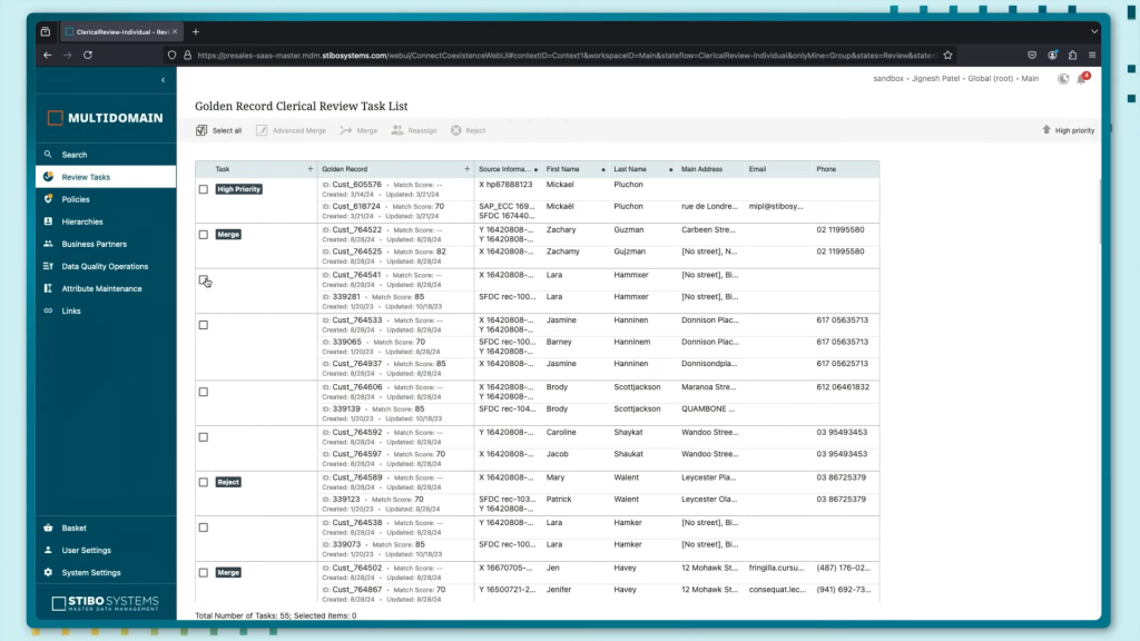 Esta imagen muestra la introducción de registros dorados en el sistema a través de la plataforma STIBO SYSTEMS.